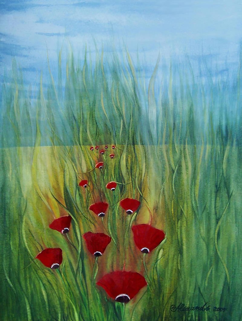 Sixteen poppies