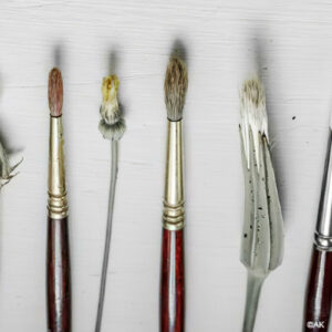 Ear, buds and brushes