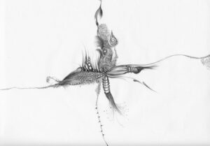 Quaternion