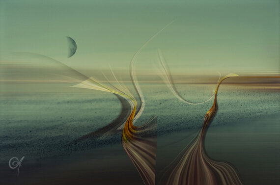 Metaphase