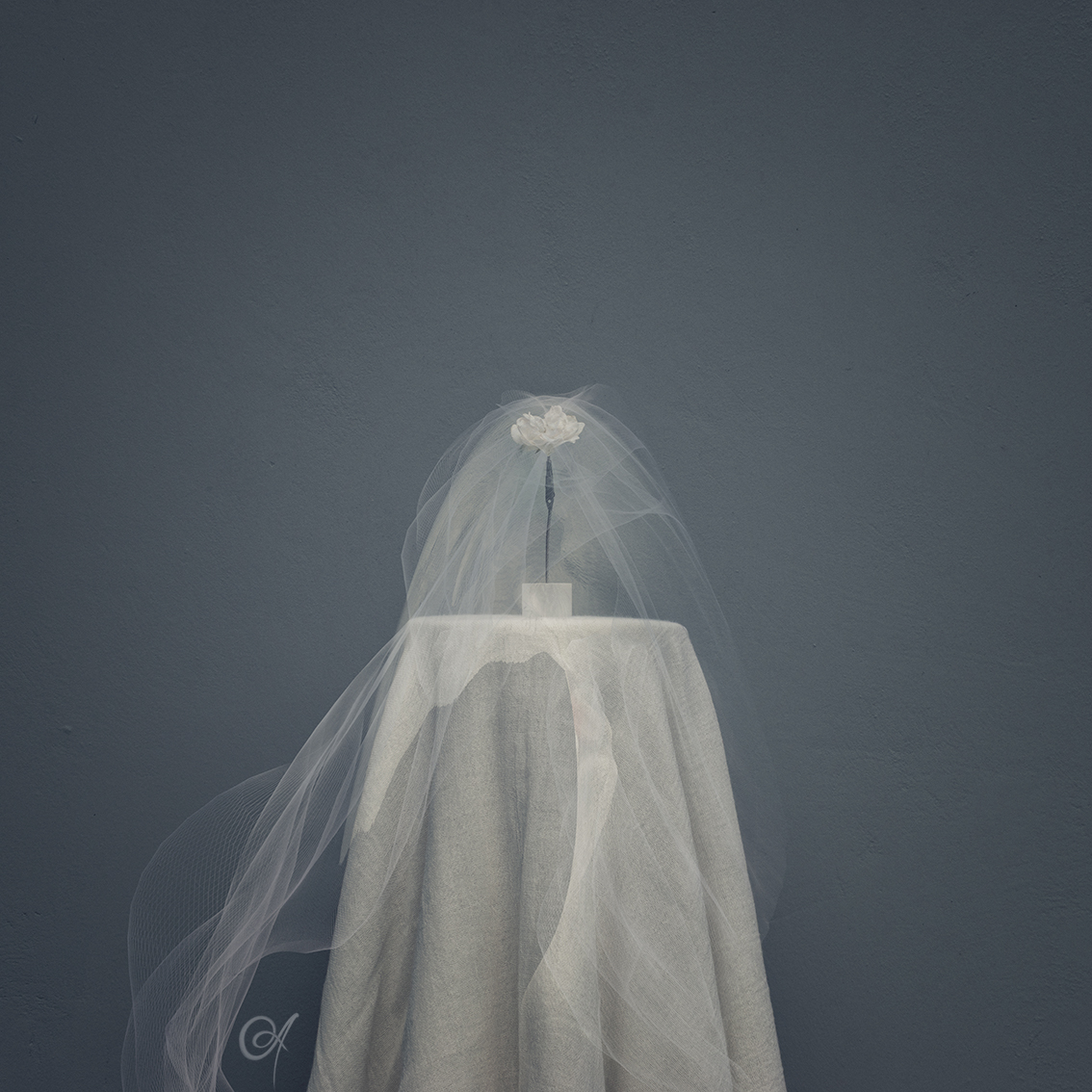 Veil