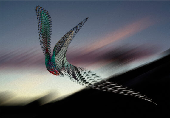 Fragmented butterfly