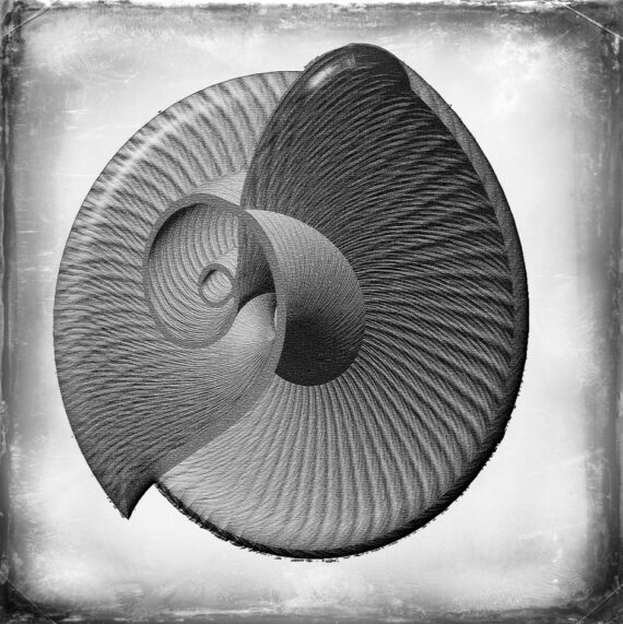 Not nautilus